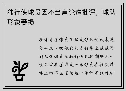 独行侠球员因不当言论遭批评，球队形象受损